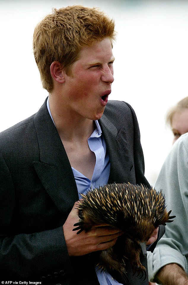 Harry took on a new nickname during his time in Queensland.  During a break in Sydney, the prince visited Taronga Zoo and was photographed with an echidna named Spike.  George Hill saw the photograph, thought Harry looked like the animal, and named him Spike.