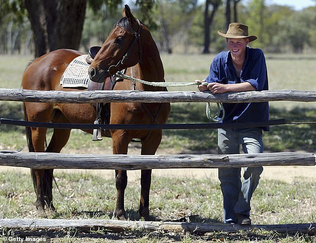 Harry's stay at Tooloombilla was interrupted by the appearance of paparazzi.  Police found an intruder at the station and two more broke in the next day.  Harry flew home at the end of December.