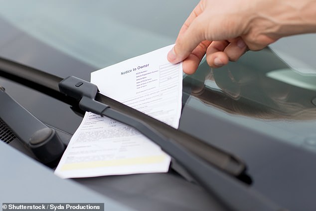 The request for review service allows drivers to dispute their speeding ticket at certain points (file image)