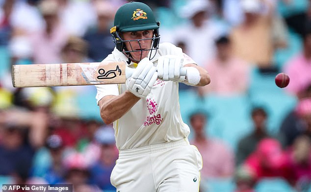 Labuschagne was sent off in the 79th by the fast South African Anrich Nortje on the first day of the third Test at the SCG after a nasty delivery which he overcame.