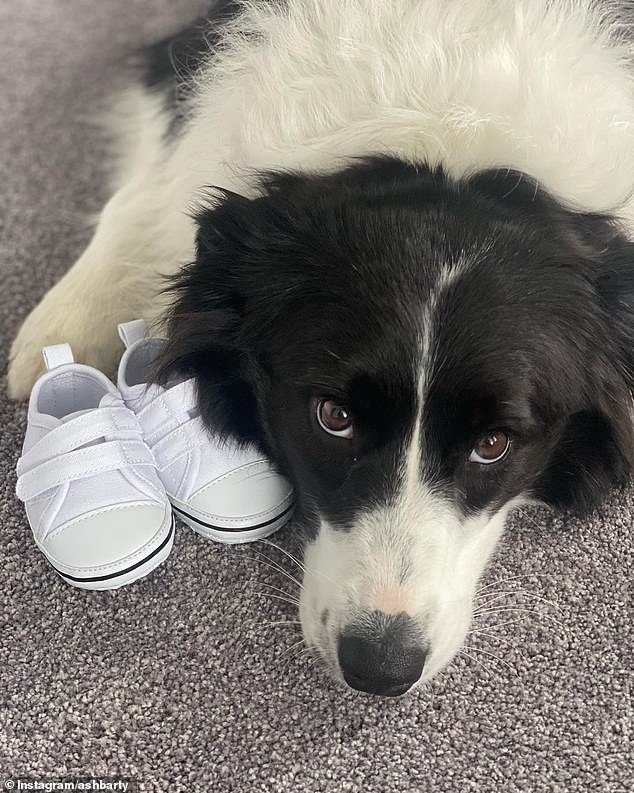 The 26-year-old tennis champion announced the happy news on Instagram late Friday by sharing a photo of her Border Collie sitting next to a pair of baby shoes.