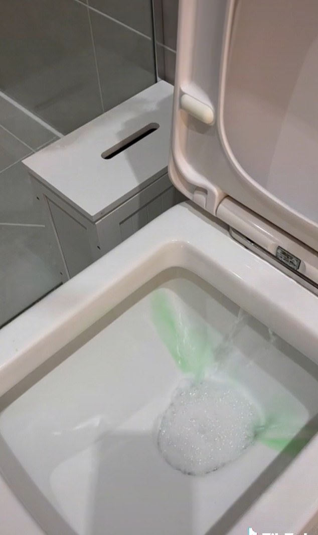 At the end of the video, when the dishwashing liquid is used, the toilet paper disappears and his toilet is unblocked.