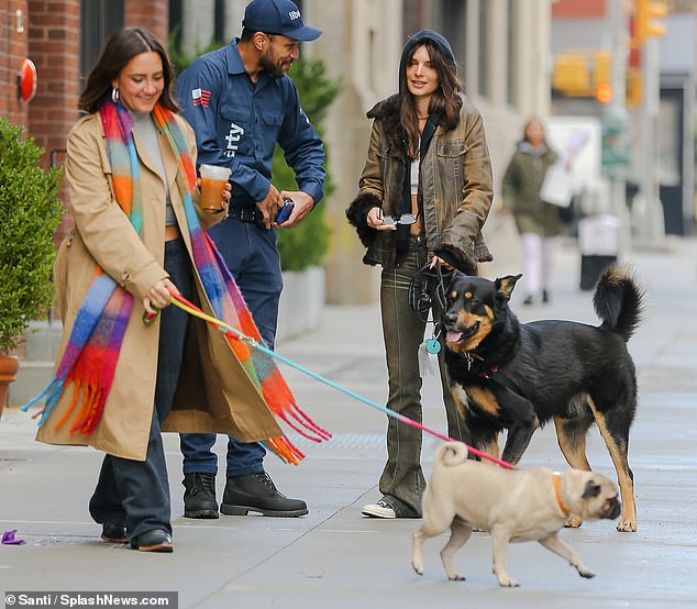 Brief conversation: Emily had a quick chat with the fan before continuing on her dog walk in Manhattan