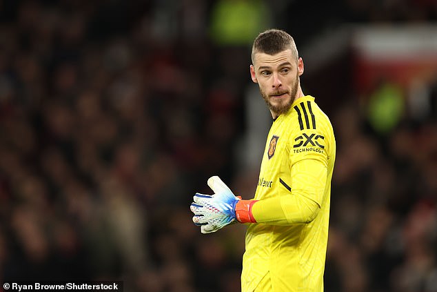 The fans attacked David De Gea after the goalkeeper's mistake against Everton in the FA Cup