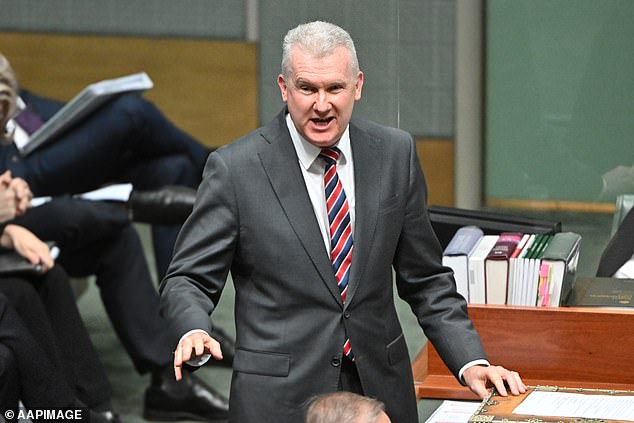 Tony Burke (pictured) also had his hand in the money, spending just under $40,000 on 14 public meetings with 'artists and workers in the arts, entertainment and culture sector', along with Susan Templeman.