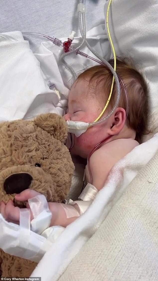 Adorable: After eating from a bottle, Maya took a nap with the help of her teddy bear.