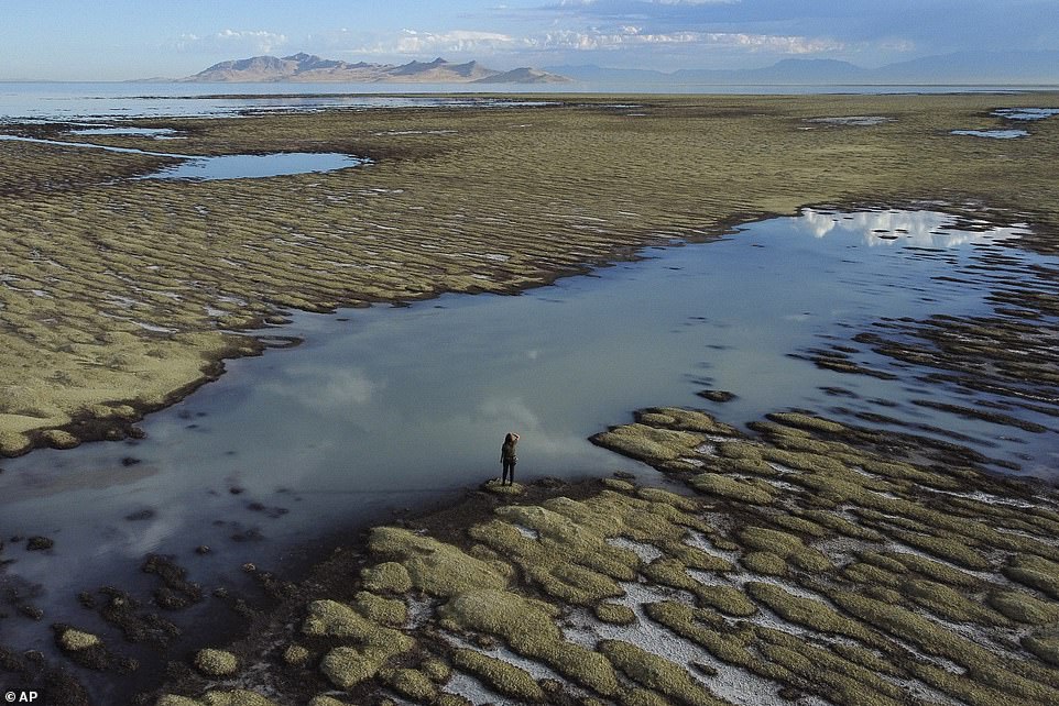 Record low water levels have left 60 percent of the lake bed exposed in the midst of a mega-drought in the west.