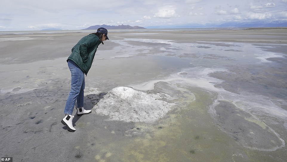 Pictured: Utah Lieutenant Governor Deidre Henderson looks at a mirabilite spring mound as she surveys the Great Salt Lake