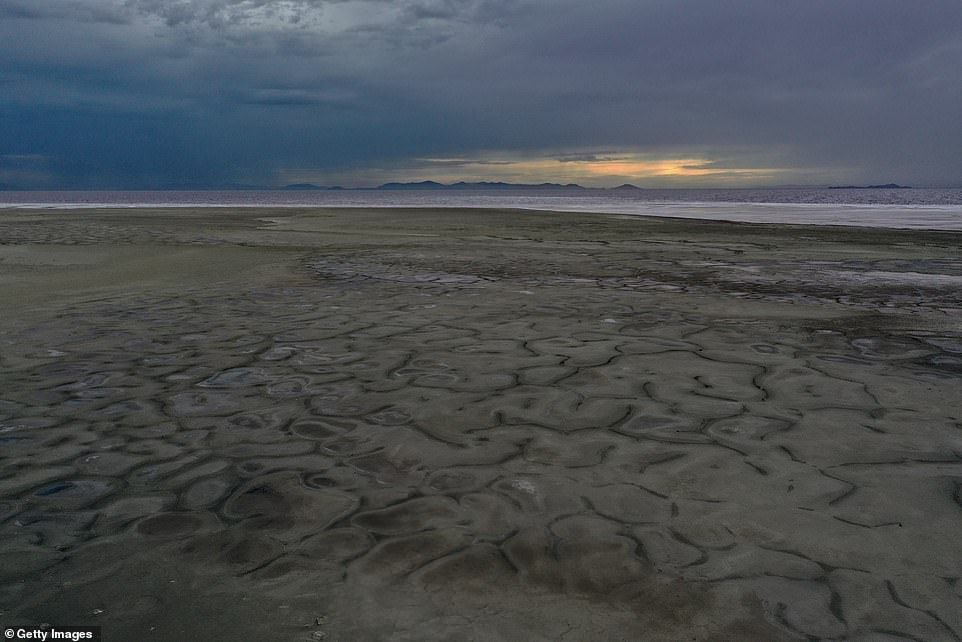 The lowering of the water level threatens to devastate the wildlife in the area, as well as the local shrimp industry.