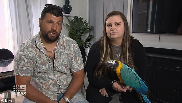 Versace's owners, the Kavanaughs (pictured with Versace), had left Versace alone for the first time to celebrate New Year's Eve and planned to shower the macaw with treats for its protection.