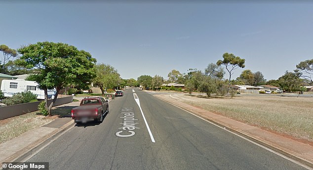 Just after midnight on Saturday, emergency services were called to Campbell Rd in Elizabeth Downs (pictured) following reports that a child had fallen from the back of a moving car.