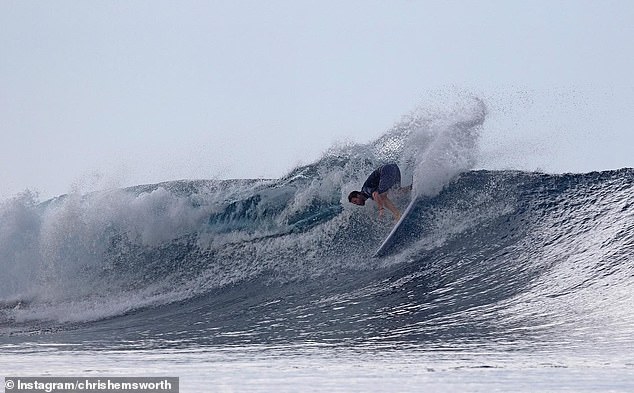 The avid surfer scaled the waves effortlessly