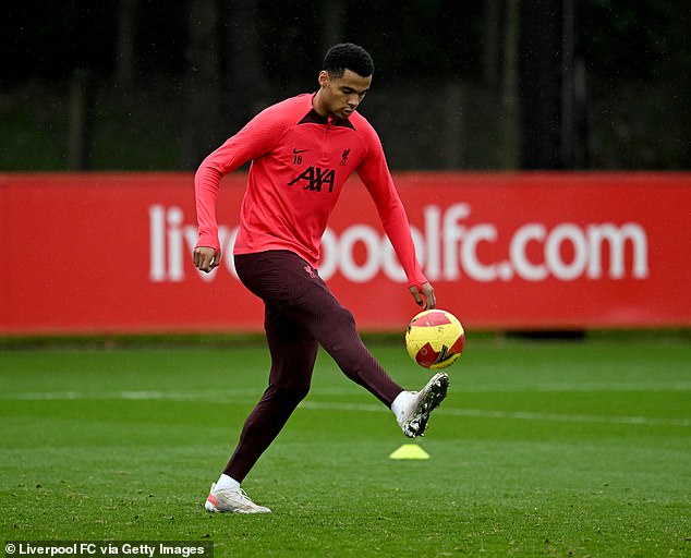 Van Dijk urged the striker to listen to those around him to help him become a player of 