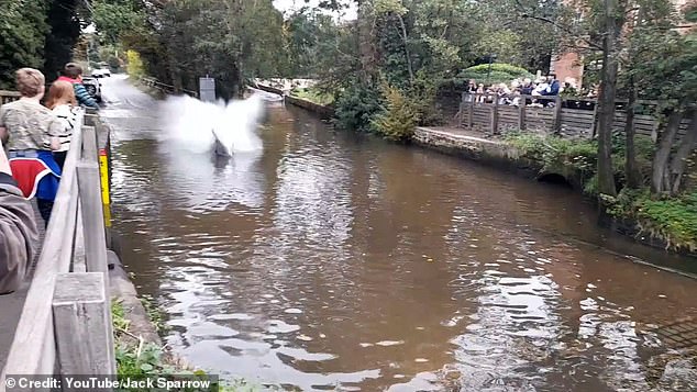 For now, the residents will have to wait while the council decides what to do with the famous accidental road crossing.