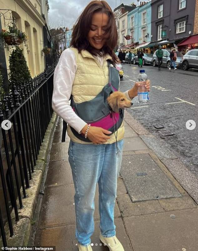 Cute: On Instagram, the former Made In Chelsea star shared a series of sweet images of her mum cuddling the pup and enjoying a day in London with her on Saturday