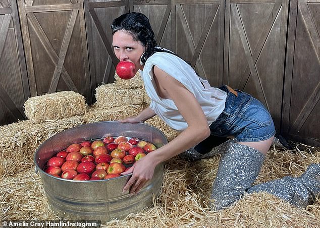 Kids party game: Hamlin shared a bizarre Instagram slideshow featuring a photo of her swinging for apples in a barn while wearing thigh-high silver boots on Thursday