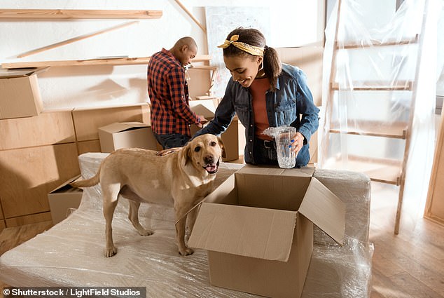 Australia's rental crisis has made it difficult for many to find a home and the pet ban makes it even more difficult (file image pictured)