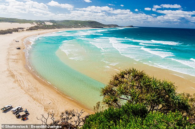 The latest incident follows an avalanche of jellyfish sings K'Gari, a popular tourist spot.