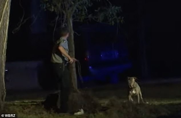 It took officials about an hour to locate the dog in the dark after the attack.