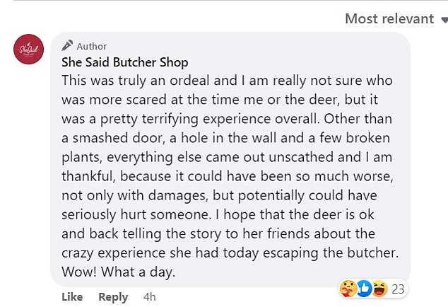 1673166630 818 Moment deer crashes through a Minnesota butcher shop window at