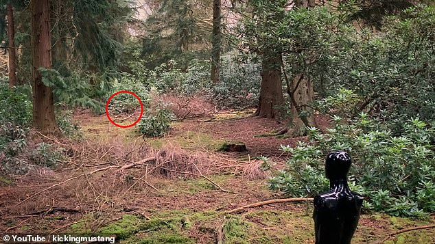 Again, the sniper was towards the center of the field, hidden by some bushes and dead vegetation.