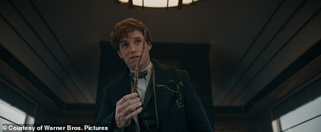 Role: The 41-year-old actor plays magizoologist Newt Scamander in the Harry Potter spinoff franchise.