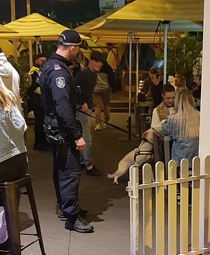 A police officer is photographed with a sniffer dog in a Sydney bar