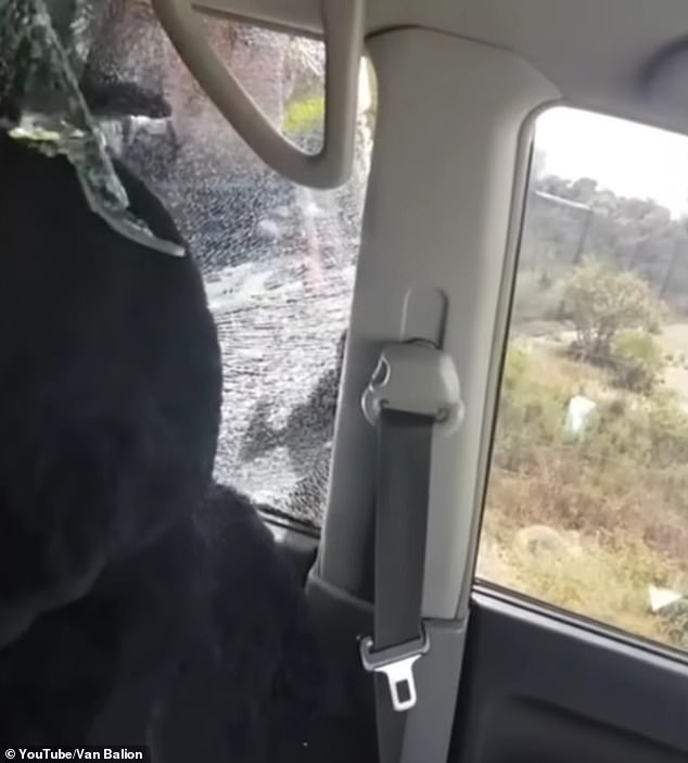 The footage, filmed from inside the man's Mitsubishi 4WD, shows officers losing patience after issuing several requests and warnings, eventually breaking a rear window and pulling out the unruly driver.