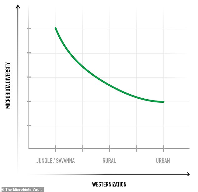 The way we live has changed dramatically in the past century - we are eating processed foods, demonstrating better hygiene and being prescribed antibiotics to combat diseases which wipe out bacteria. As a result, studies have shown that the diversity within the human microbiota is decreasing