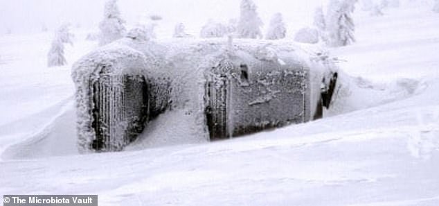 As the collection grows to the projected 100,000 samples, the microbiologists know they are going to have to look for a larger storage facility. They currently have their eye on old military bunkers hidden in the Alps that were unoccupied up until the Ukraine war