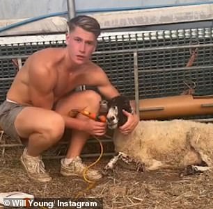 Feeding time: He also documented how he fed his flock of sheep.