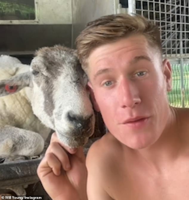 Selfie: He took numerous selfies with his woolly friends