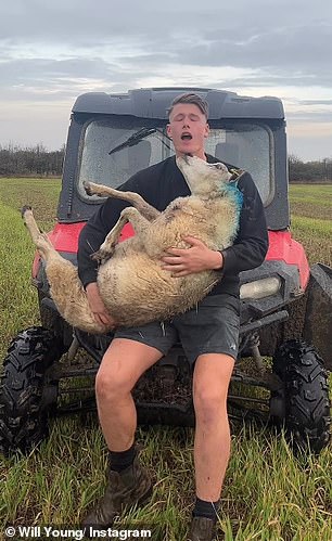 LOL: Showing his great sense of humor he also dances with a sheep in another clip