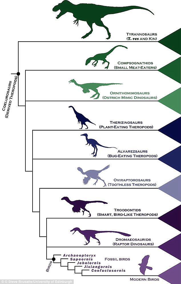 1673283269 57 TRex may have been capable of problem solving and even culture