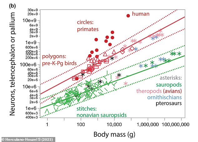 Relationship between neuron number and body mass for dinosaurs and modern animals. Asterisks = dinosaurs, Red polygons = modern birds, Green stitches = modern non-avian sauropsids, Red circles = primates