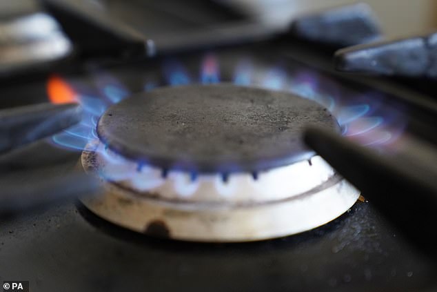 Toxins such as benzene, methane, nitrogen dioxide are produced when a gas range is used