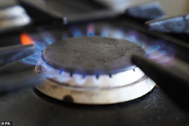 Gas stove manufacturers argue that they are just as harmful as other cooking media.