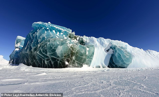 A stunning landscape that hardly anyone can see is in your backyard