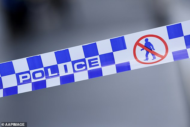 An 18-year-old Narre Warren man and a 20-year-old Clarinda man were arrested for the theft of the vehicle in Frankston Tuesday.