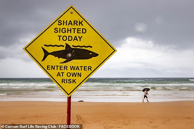 It comes after an unconfirmed sighting of a well-known shark named Bruce was made just off the beach on the same day in Chelsea and Bonbeach, two miles away.