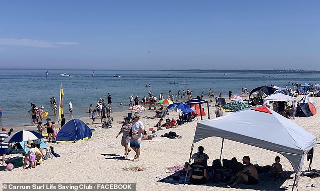 The fin was seen in a holiday photo taken at Carrum Beach in south-east Melbourne when the family took their toddler to the beach for the first time this week (pictured, sunbathers at Carrum Beach)