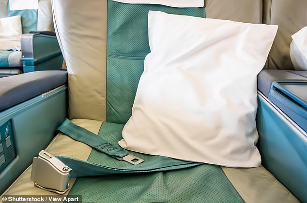 Bring your own full-size pillowcase on the flight and stuff it with smaller pillows, says Caroline