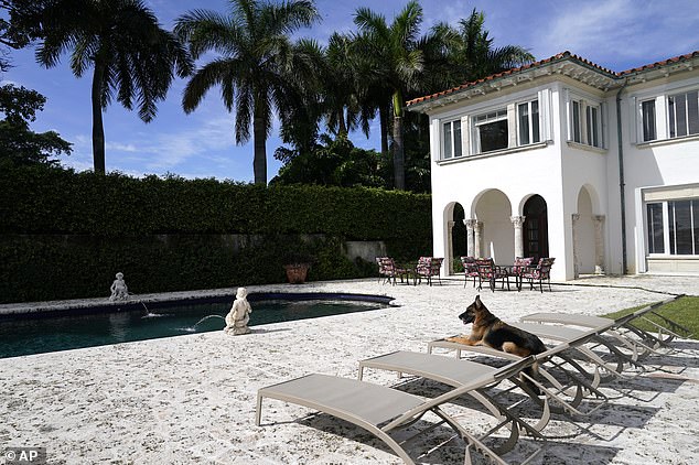 German shepherd Gunther VI sits poolside in a house that was formally owned by pop star Madonna in 2021. The claim that the dog was selling the mansion misled many journalists.