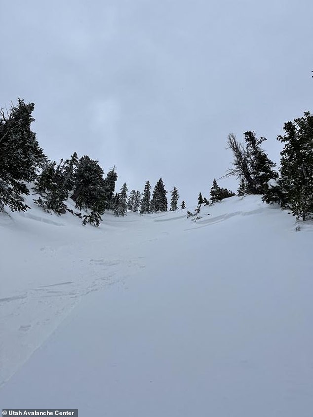 Looking up at the mountains where the avalanche trapped Nielson