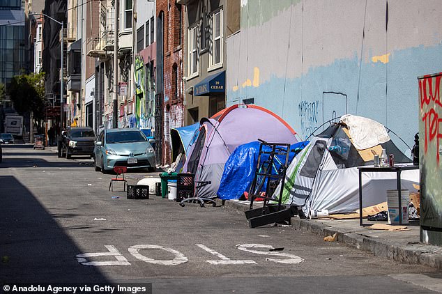 Rows of homeless tents are seen near San Francisco City Hall outside residential properties and small business premises earlier this year.