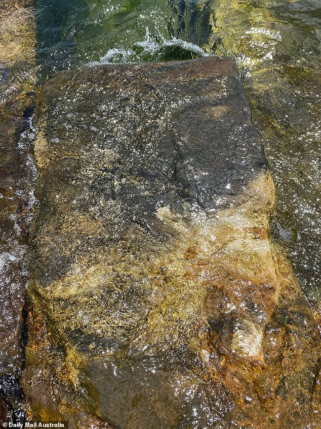 Swimmers should be careful when entering the water on slippery rocks like this one.