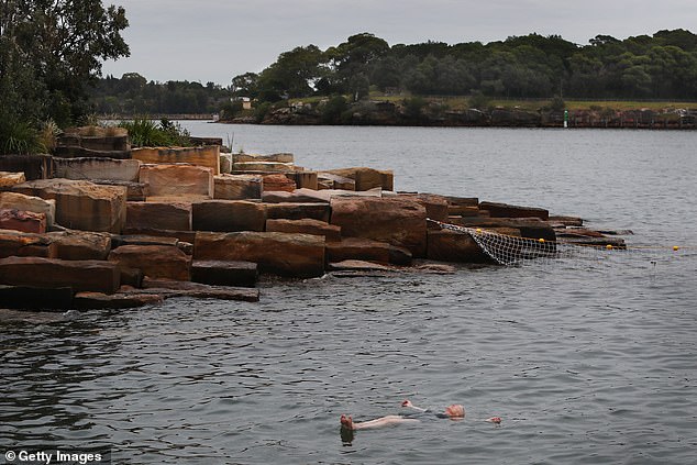 A swimmer is seen floating in the cove on Wednesday, despite the gray sky overhead.