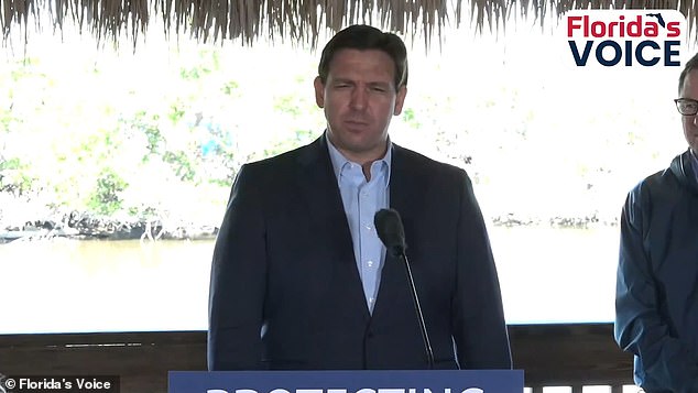 During his speech, DeSantis said: 'When COVID hit, people needed all these supplies;  I think 100 percent of it was made in China.  Why would you want to trust a hostile nation for things that are integral to our quality of life and security?'