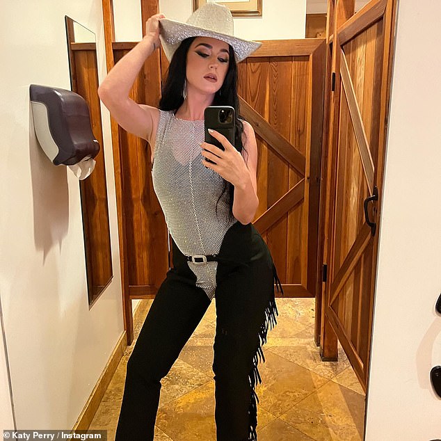 Cowgirl: Taking to Instagram on Wednesday, the singer, 38, posed a storm in her hat which she paired with a silver chainmail bodysuit and fringed black pants