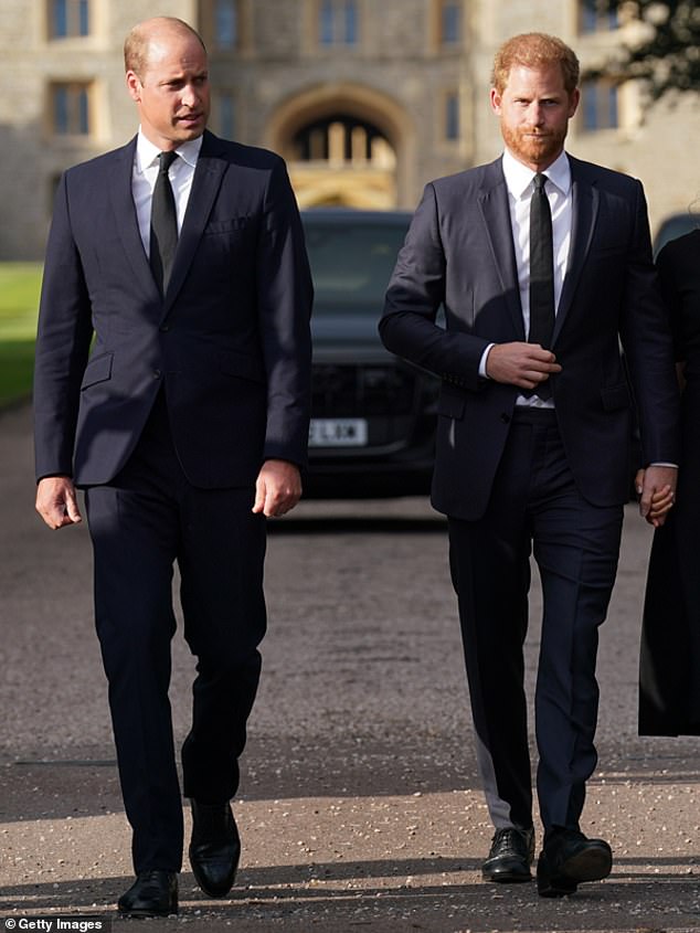 Prince Harry pictured with his brother, Prince William, who is the godfather of Crown Princess Marie-Chantal and the son of Crown Prince Pavlos.